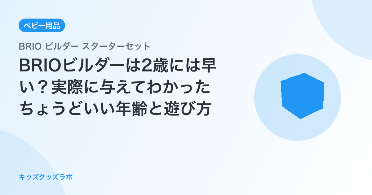 BRIOビルダーは2歳には早い？実際に与えてわかったちょうどいい年齢と遊び方